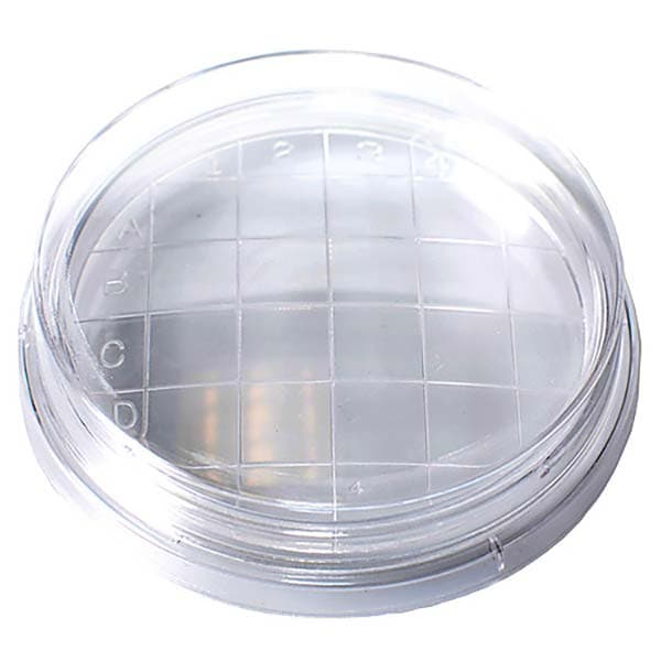 Contact Dish