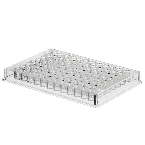 Flat Bottom Plate