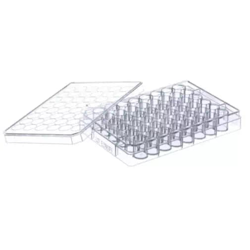 Plates