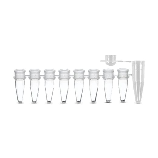 PCR Tubes
